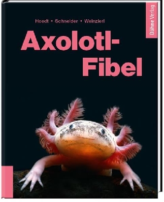 Axolotl-Fibel Dähne -  Verlag