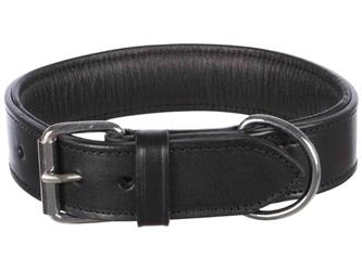 Active Halsband L-XL 55-65cm/40mm schwarz