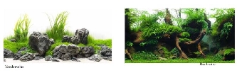Photo-Rückwand Rolle Amazonia 45cm doppelseitig pro Meter