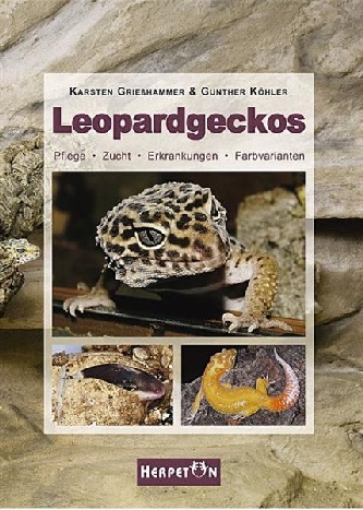 Leopardengeckos - Grießhammer & Köhler