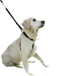 Erziehungsgeschirr Gr.2 Maxi Leader - schwarz Hals: 30-45cm