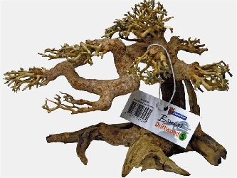 Bonsai Treibholz S - 23x12x15cm