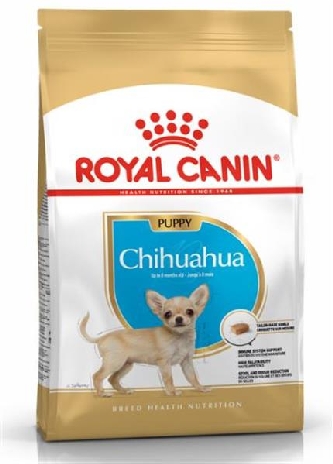 Chihuahua Puppy - 1,5kg