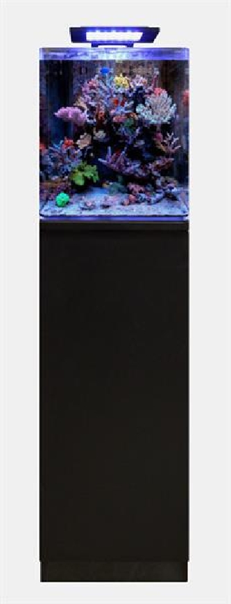 Blue Marine Reef 60 - Schrank schwarz - 35x45x86