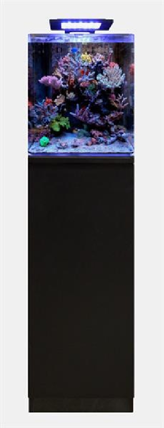 Blue Marine Reef 60 - Schrank schwarz - 35,5x45,5x87cm