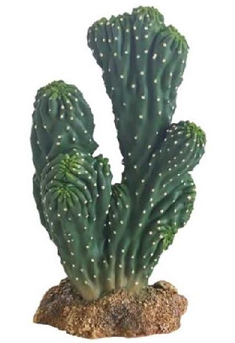 Kaktus Victoria 11x8x19cm, Kunststoff