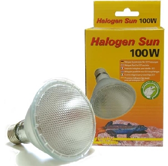 Halogen Sun - 100W