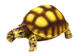 Deko Turtle 2 - Schildkröte - 10x6x5cm
