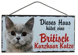 Tierschild 25x12,5cm - Britisch Kurzhaar Katze