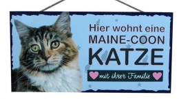 Tierschild 25x12,5cm - Maine Coon Katze