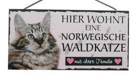 Tierschild 25x12,5cm - Norwegische Waldkatze