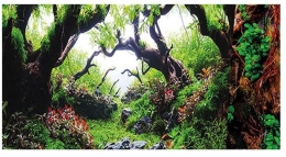 Fotorückwand Green-Dream - 100x50cm - selbstklebend