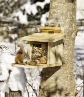 Eichhörnchenfutterstation mit klappbarem Boden