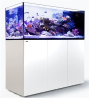 Red Sea - REEFER 650 - Peninsula-System-weiss
