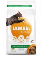 IAMS for Vitality - Adult - Lamm - 1,5kg