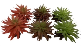 Deko Sedumpflanzen - gemischte Farben - 13x12,5x10cm