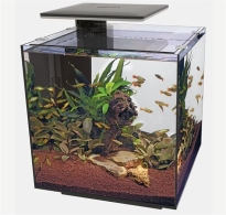 QUBIQ 60 PRO schwarz Aquarium