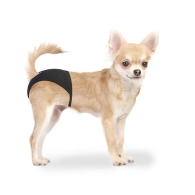 Schutzhöschen Dog Pants 18-23cm