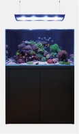 Blue Marine Reef 350 Meerwasseraquarium + Möbel - schwarz