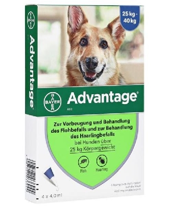 Advantage - Topfen gegen Flohbefall - Hunde ab 25kg - 4x4ml