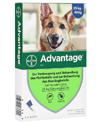 Advantage-Tropfen gegen Flohbefall - Hunde ab 25kg - 4x4ml