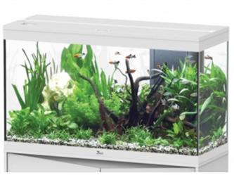 Splendid 200 - Aquarium Aquatlantis - weiß - 101x40x60cm