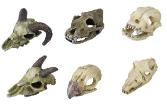 Dekor Skull mini - ca. 10cm - Diverse