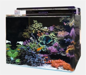 Blue Marine Reef 120 60x45x45cm/8mm Aquarium