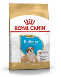 Bulldog - Puppy - Bulldoggen bis 12 Monate - 3kg
