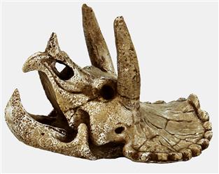 Schädel Triceratops Skull - Dino Schädl - M