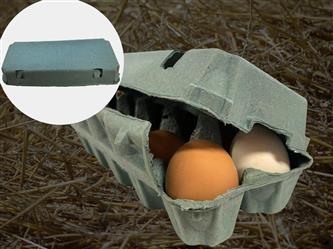 Eierschachtel Hühner 10-er - blau-grau
