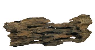 CAruqa-Wurzel Drachenholz - Medium