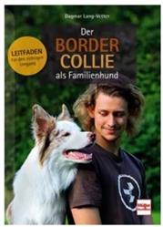 Der Border Collie als Familienhund - Leitfaden