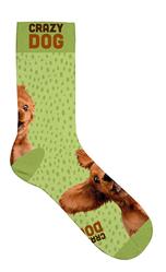 Socken Größe 39-44 - Crazy Dog