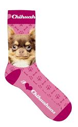 Socken Größe 39-44 - Chihuahua