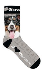 Socken - Bernese Mountain Dog - Größe 39-44