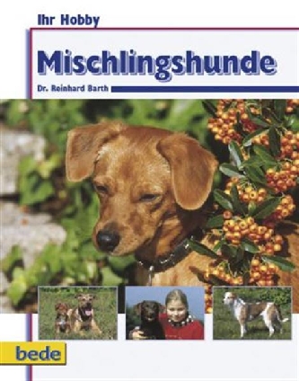 Mischlingshunde Ihr Hobby / Barth