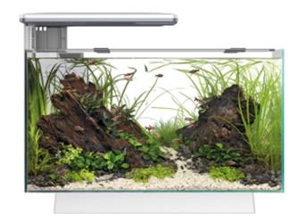 Superfish Quadro Pro 70 Aquarium - schwarz