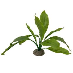 Deko Pflanze Echinodorus - grün - 24cm