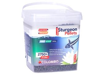 Colombo Sturgeon 5L - Large