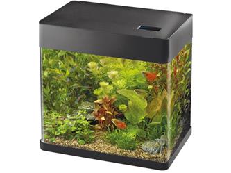 Panorama 20 Aquarium - black - 17 Liter