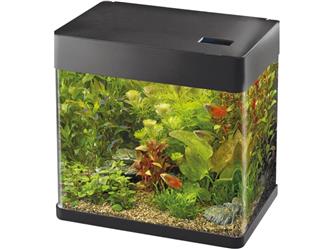 Panorama 35 Aquarium black - 30 Liter