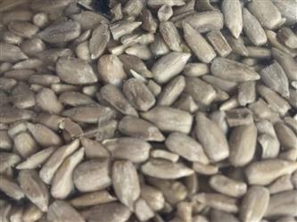 Sonnenblumenkerne geschält, ausgelöst - 10kg
