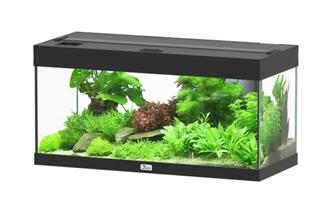Prestige 80 schwarz Aquarium Aquatlantis