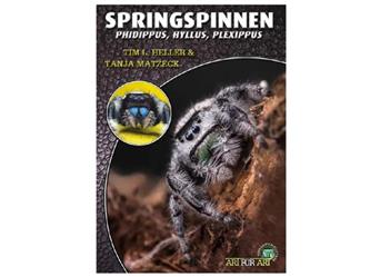 Springspinnen - Phidippus, Hyllus, Plexippus - 64 Seiten