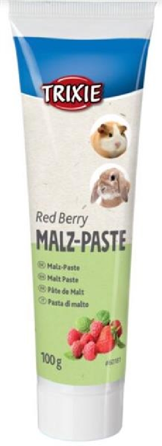 Malz-Paste - Red Berry - 100g