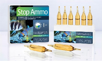 Stop Ammo 6 Ampullen Ammoniakblocker