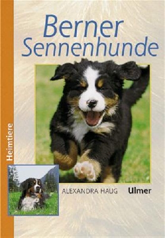 Berner Sennenhunde Ulmer Verlag