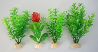Aquariumpflanzen Pflanze small grün       OR