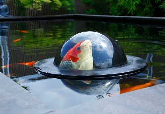 Velda Floating Fisch Dome Fischkugel